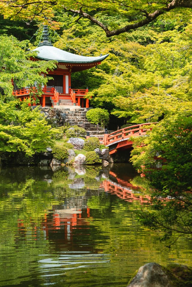 Discover the beauty of Japan